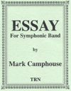 Essay - hacer clic aquí Essay - hacer clic aquí