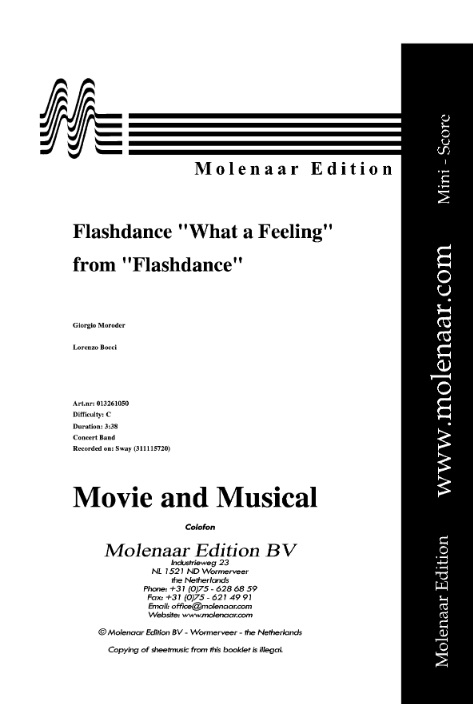 Flashdance� What a Feeling - hacer clic aqu�