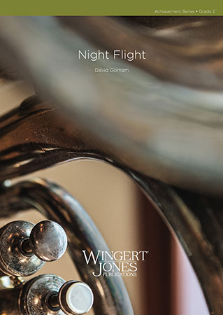 Night Flight - hacer clic aqu