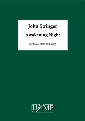 Awakening Night - hacer clic aqu�